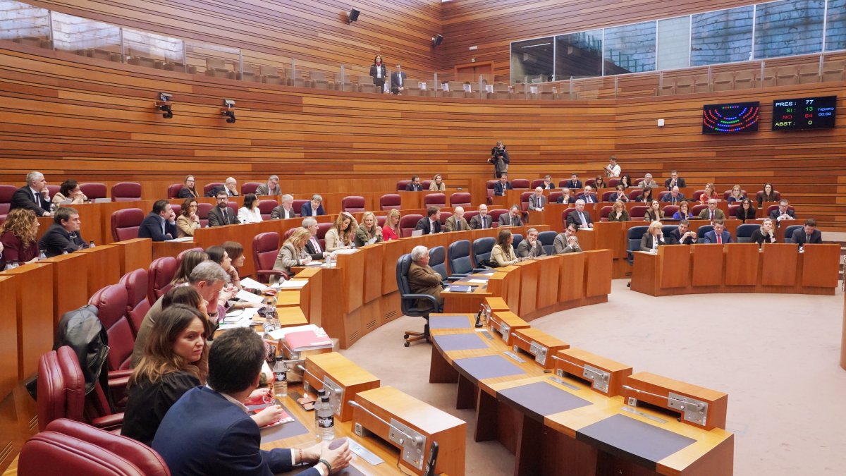 Pleno de las Cortes de Castilla y León