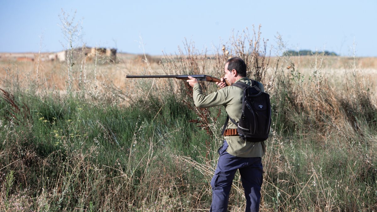 Comienza la media veda de caza en Castilla y León, con buenas expectativas de capturas.