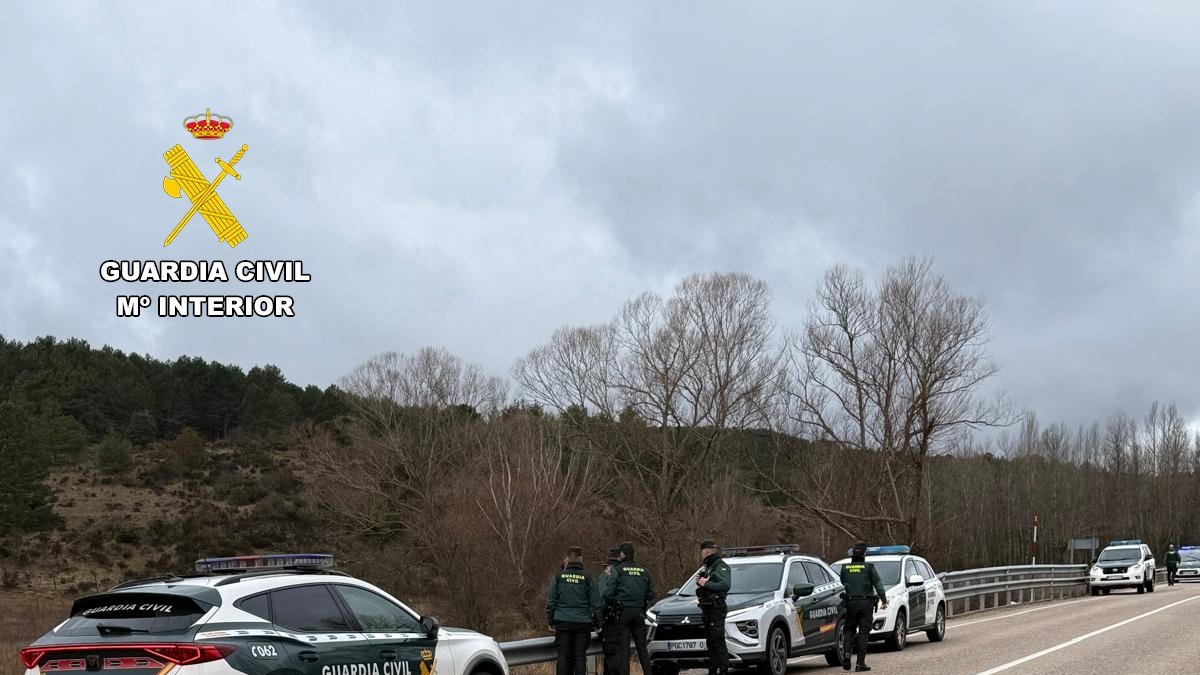 Operativo de búsqueda de la Guardia Civil en la N-234.