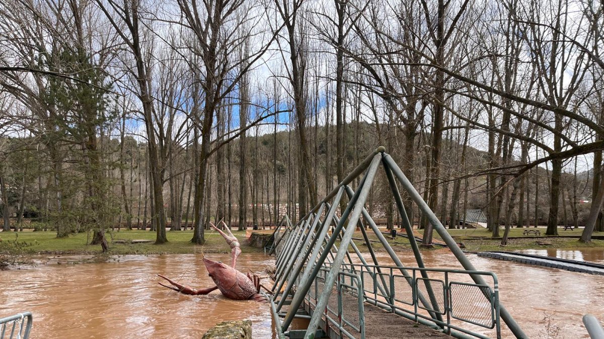 El cangrejo desengachado por el furor de las aguas.