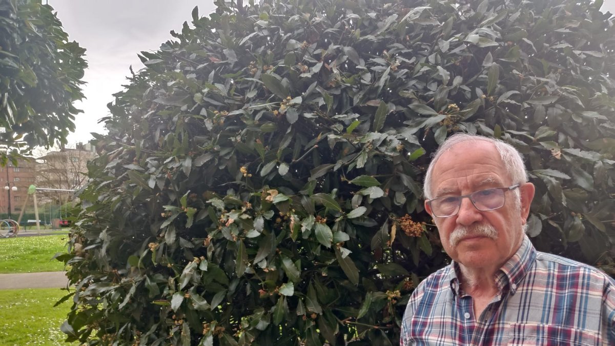 Miguel Ángel San Miguel.