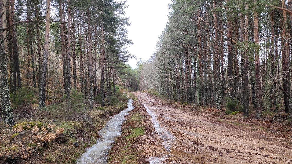 El agua baja por la cuneta de un camino en una imagen de archivo.