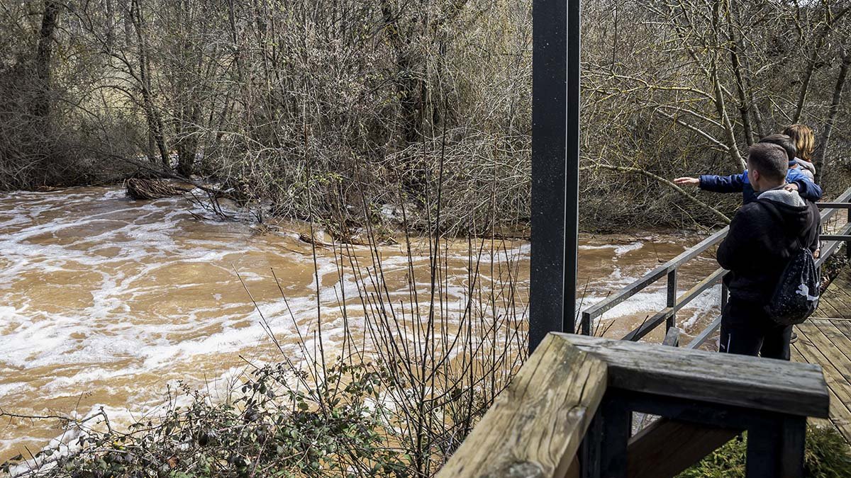 Río Duero estos días.