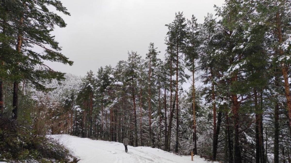 Imagen de la nieve en la provincia de Soria a principios de esta semana.