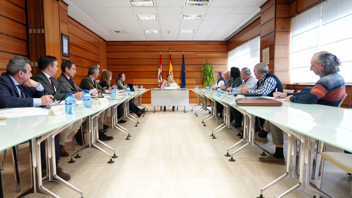 La consejera de Agricultura, Ganadería y Desarrollo Rural, María González Corral, informa sobre el contenido de la reunión del Consejo Agrario de Castilla y León.