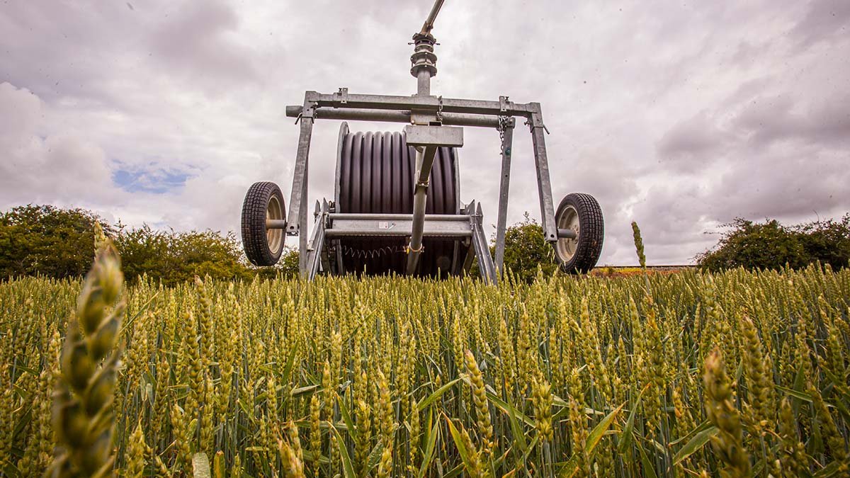 Campo de regadío en Soria.