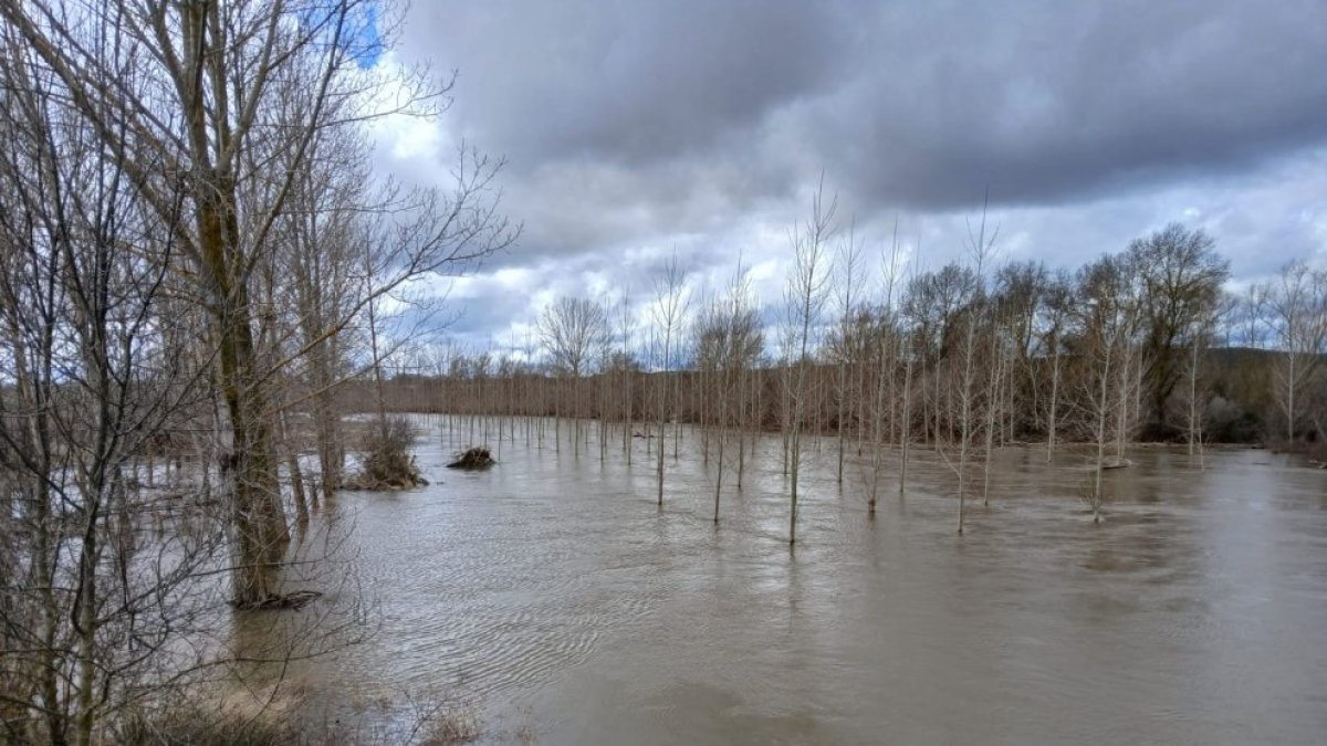 Río Duero a su paso por Tardajos de Duero.