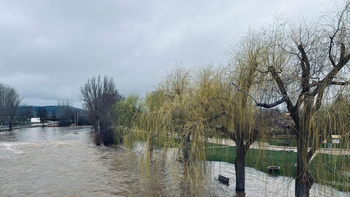 Desbordamiento en Garray esta mañana.