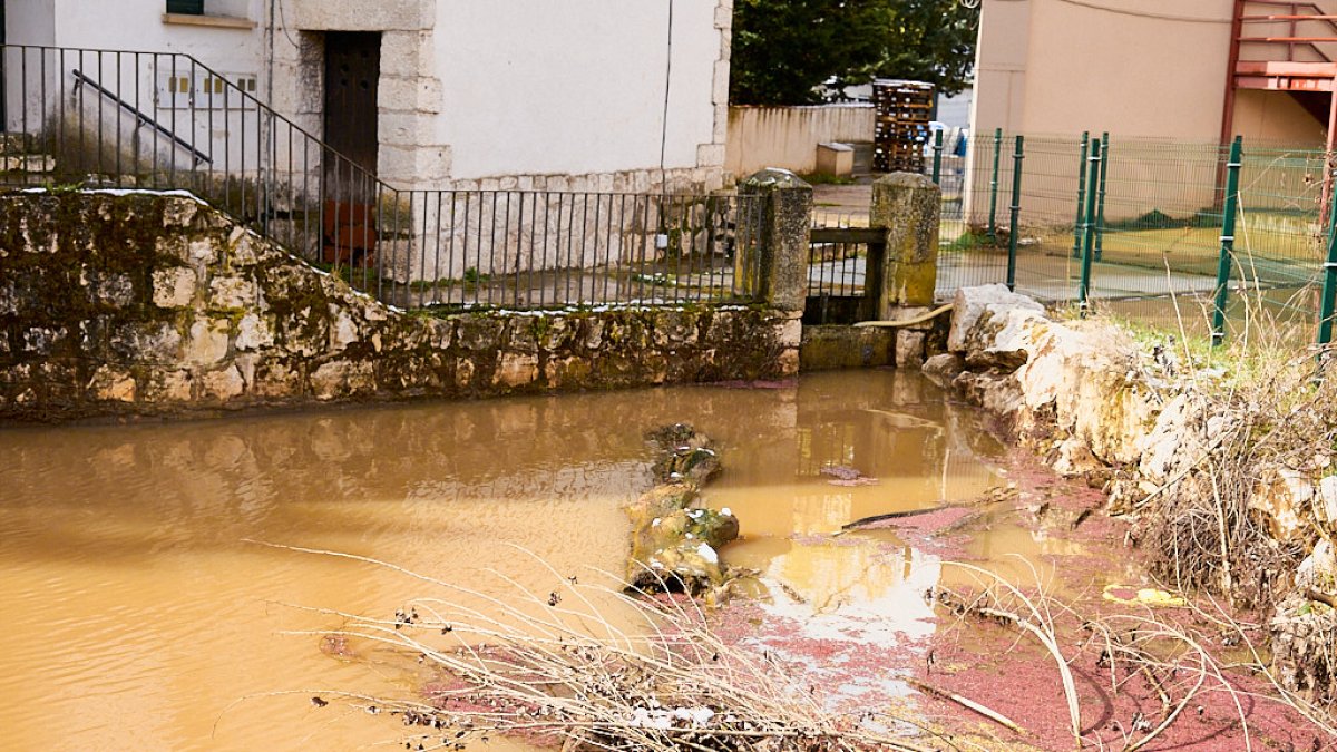 Estado en el que se encuentra el Duero a su paso por San Esteban