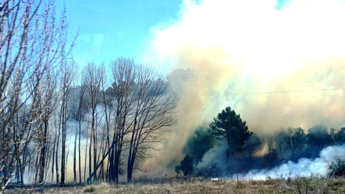 Incendio forestal en la zona de Tardajos y Los Rábanos.