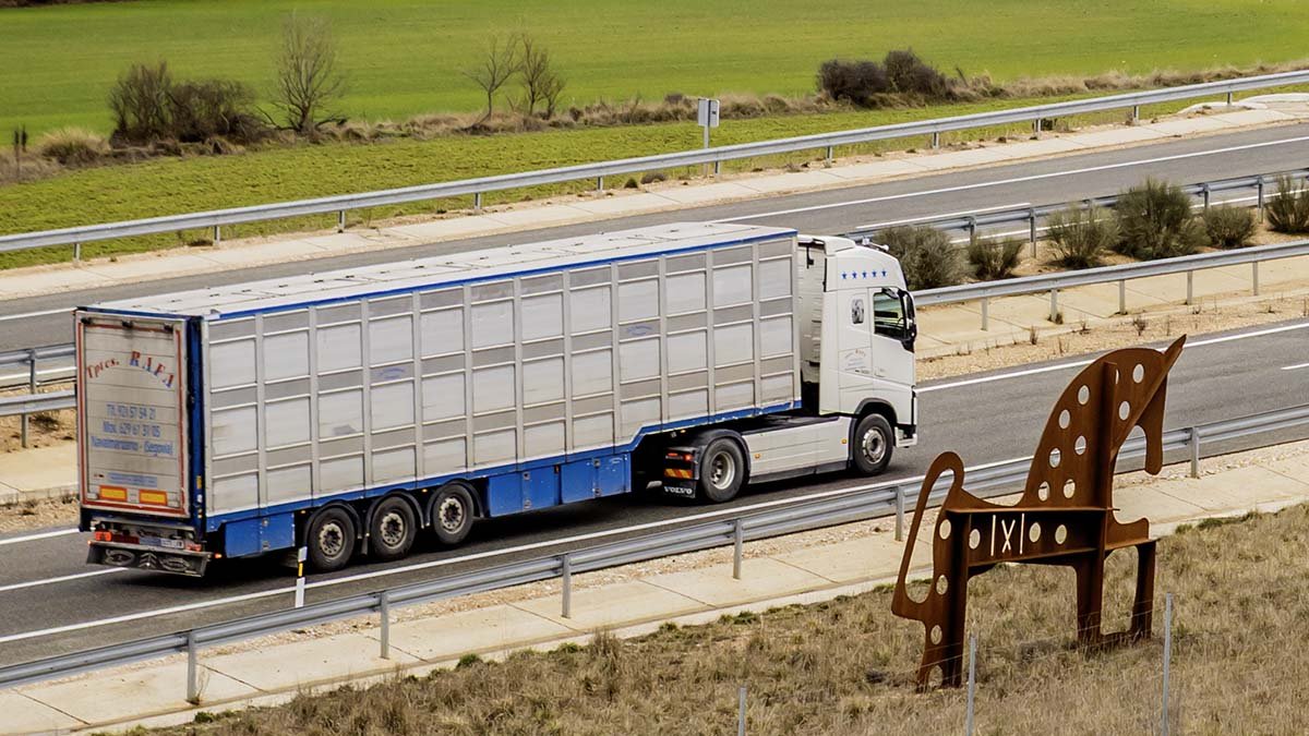 El sector del transporte se enfrenta al problema de falta de relevo generacional.