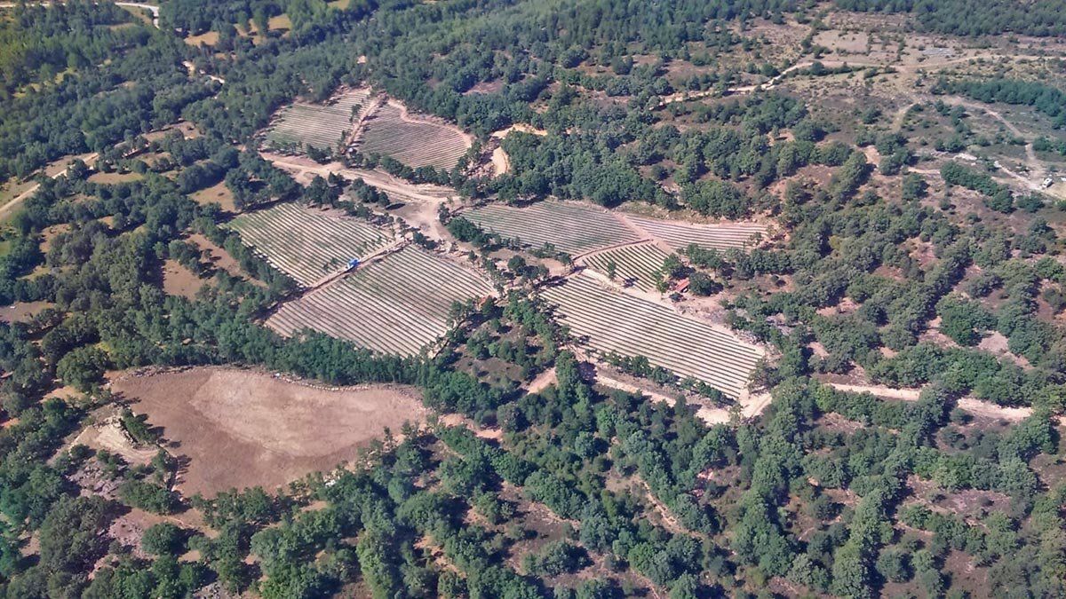 Imagen aérea de la plantación.
