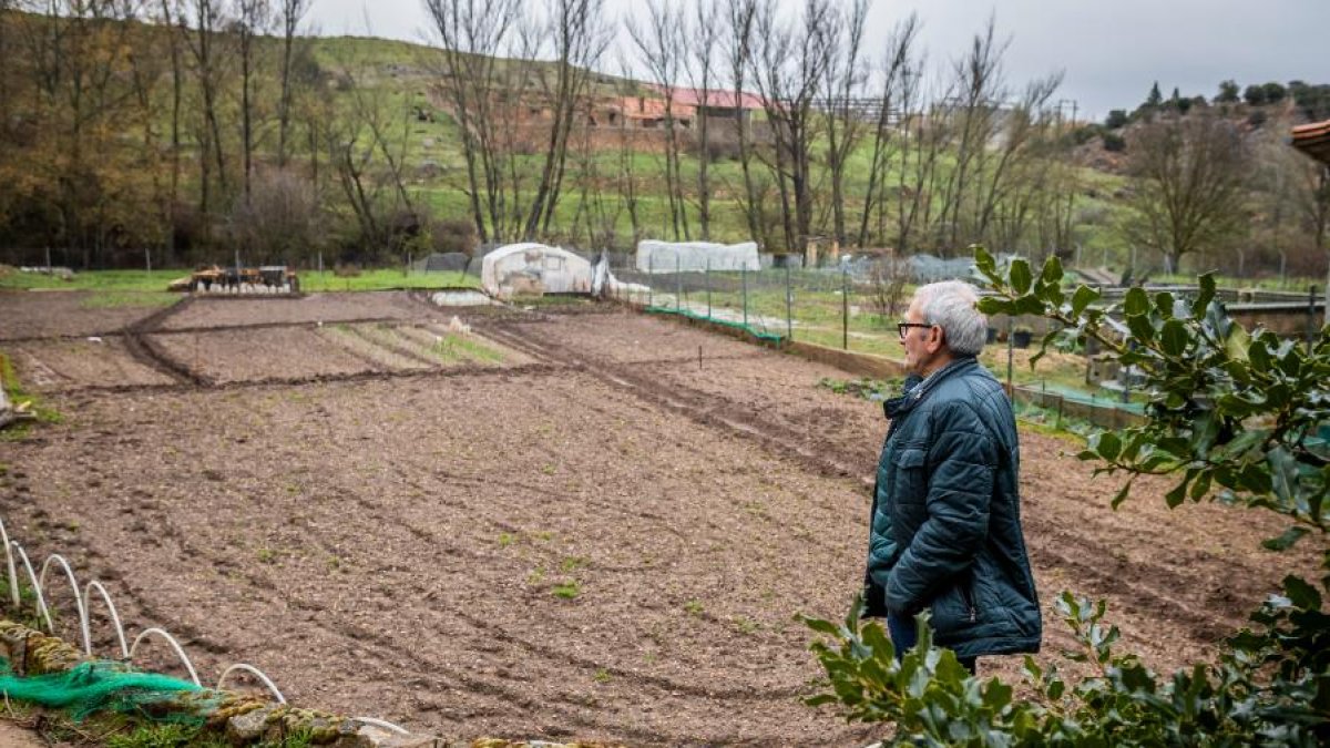 La finca se encuentra muy cuidada, pero hay que mantenerla.