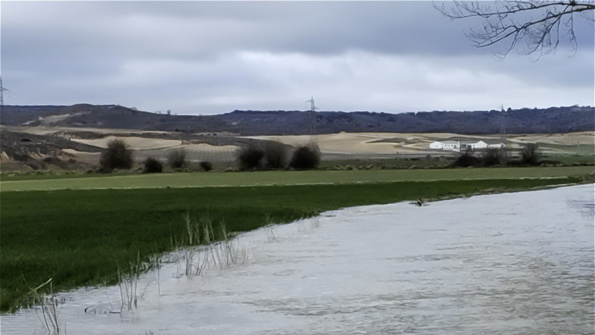 Parcelas anegadas en el campo soriano el pasado mes de marzo.