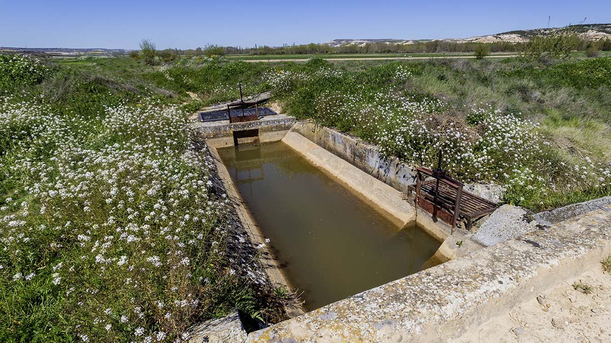 Detalle del Canal de Ines.