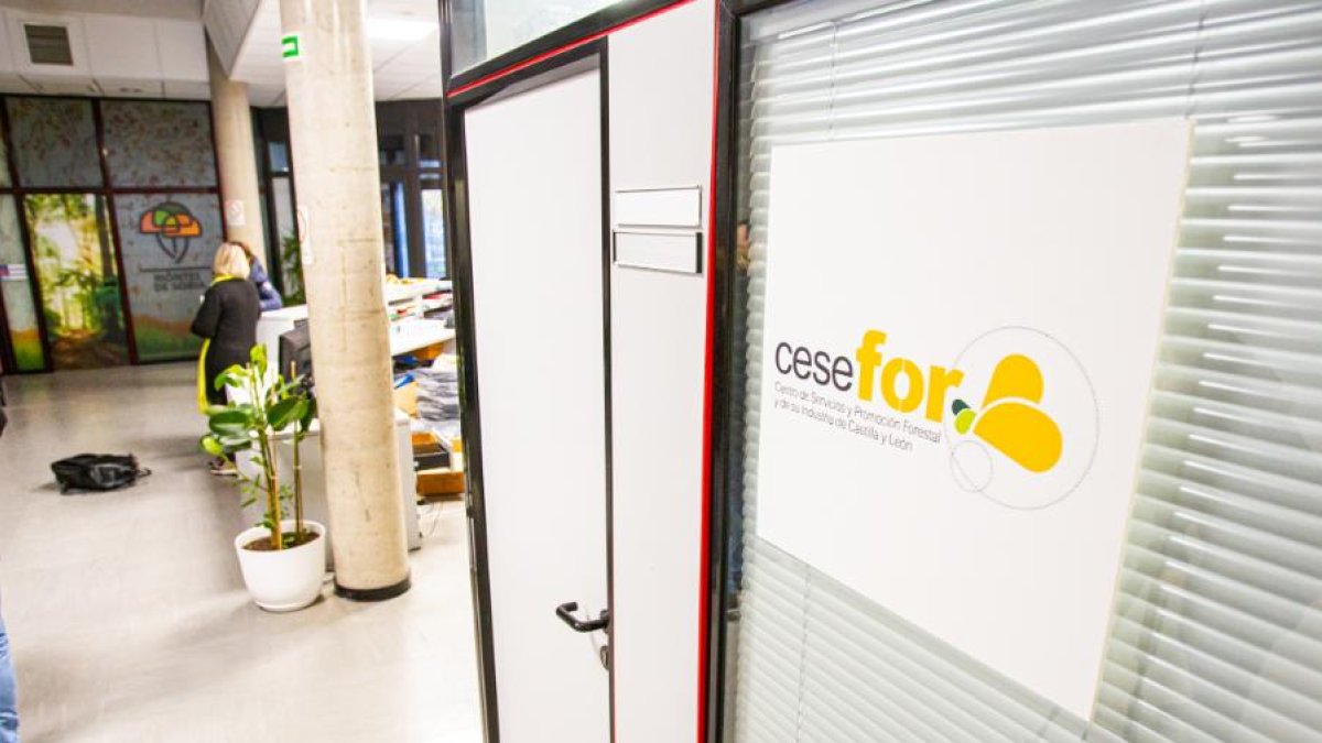 Instalaciones del Cesefor.