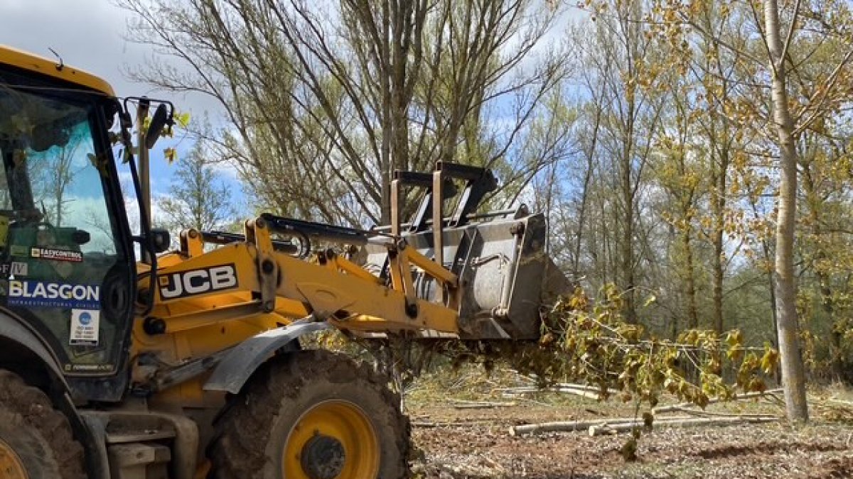 Maquinaria pesada en la zona que se desbrozó para construir el puente provisional.