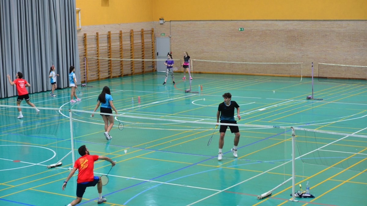 Badminton Provincial Circuit 2024: Schedule & Results