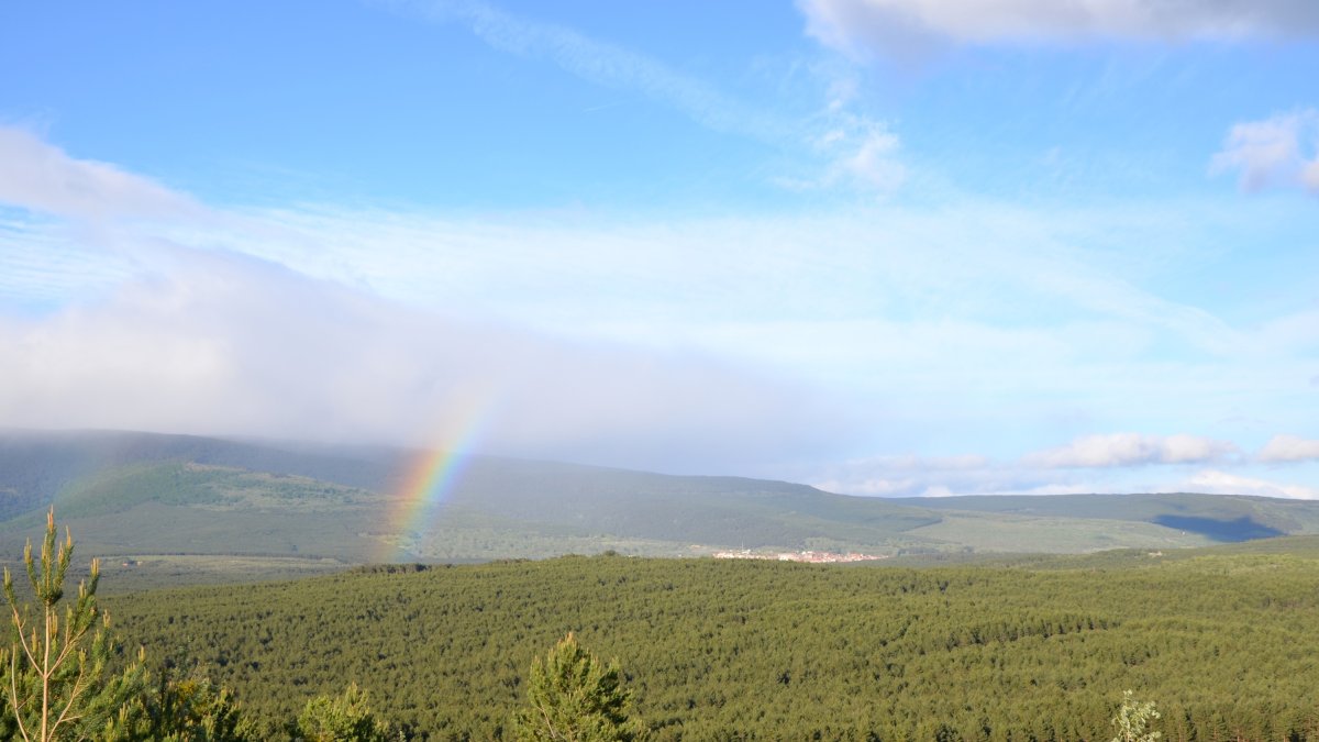 El proyecto está enfocado a los recursos forestales.