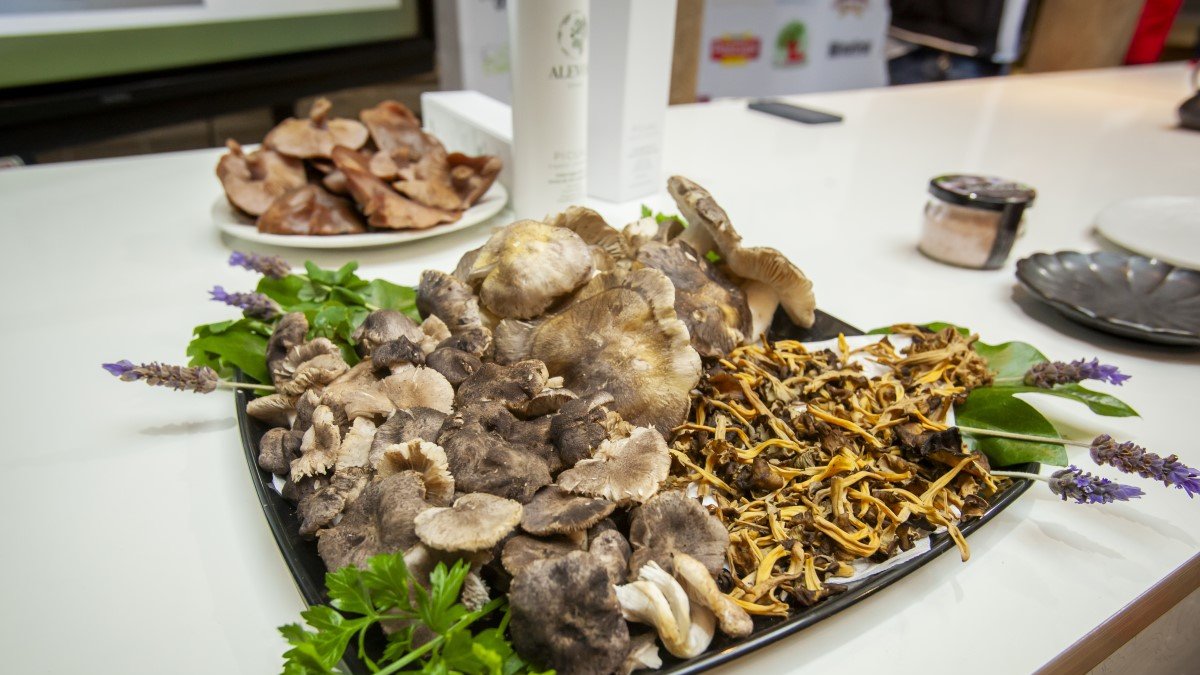 Bodegón de setas.