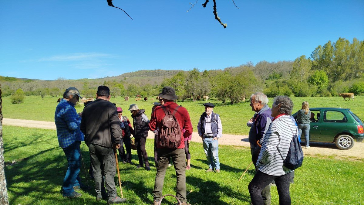 Salida al monte en busca de setas de primavera.