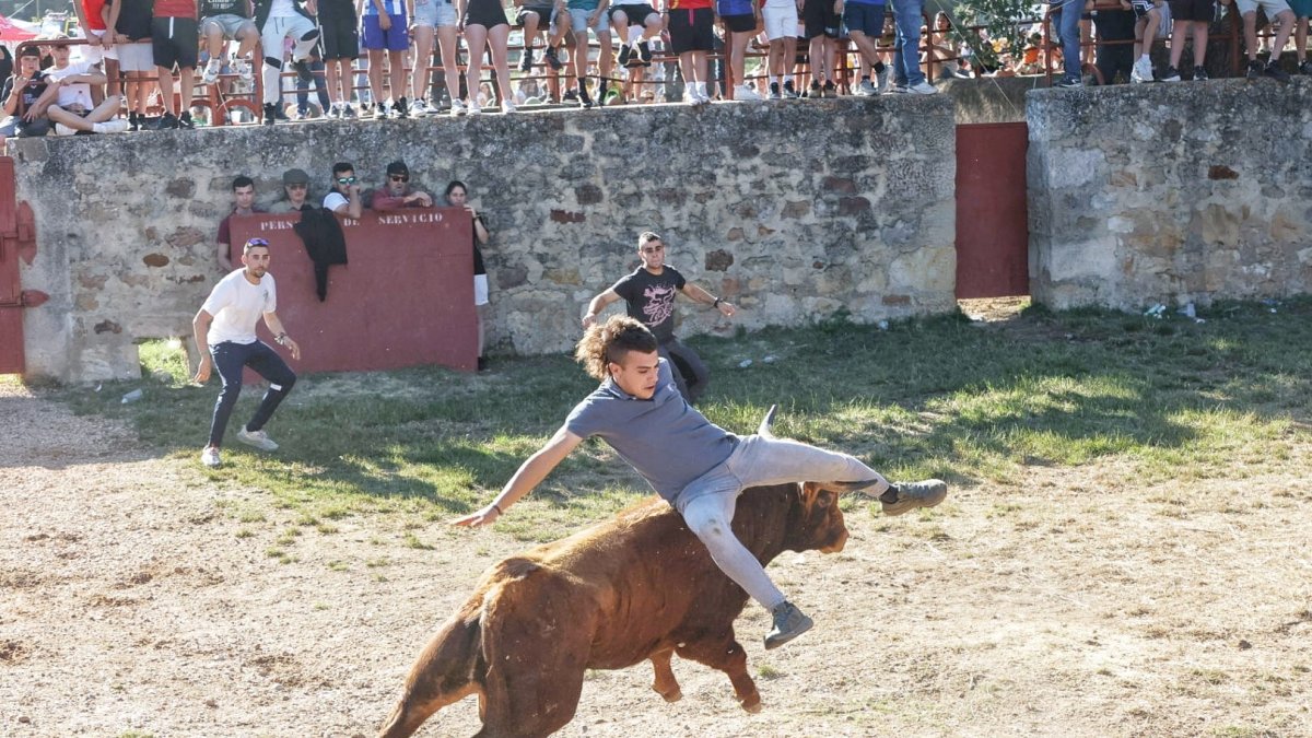 Un joven por los aires junto a uno de los toros del Lavalenguas.