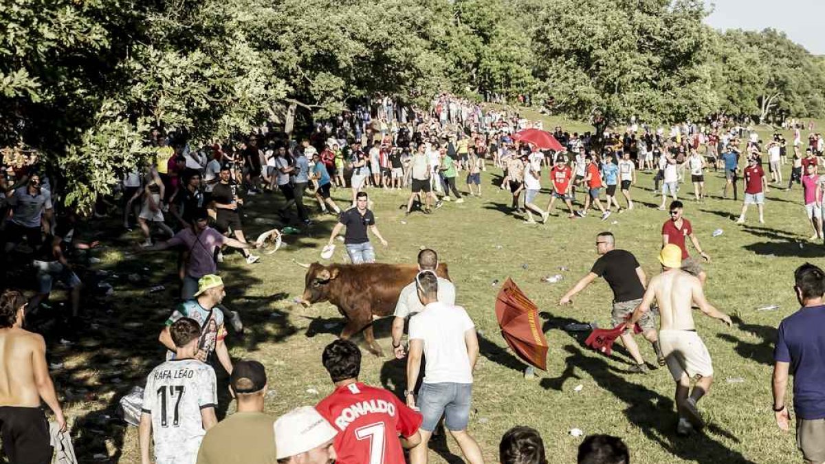 Un Lavalenguas que se disfrutó en grande en Valonsadero