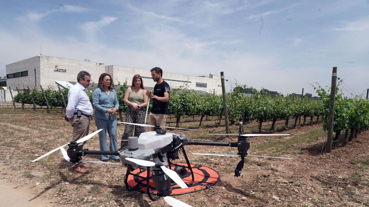 La consejera de Agricultura, Ganadería y Desarrollo Rural, María González Corral, visita Demoviña 2025.
