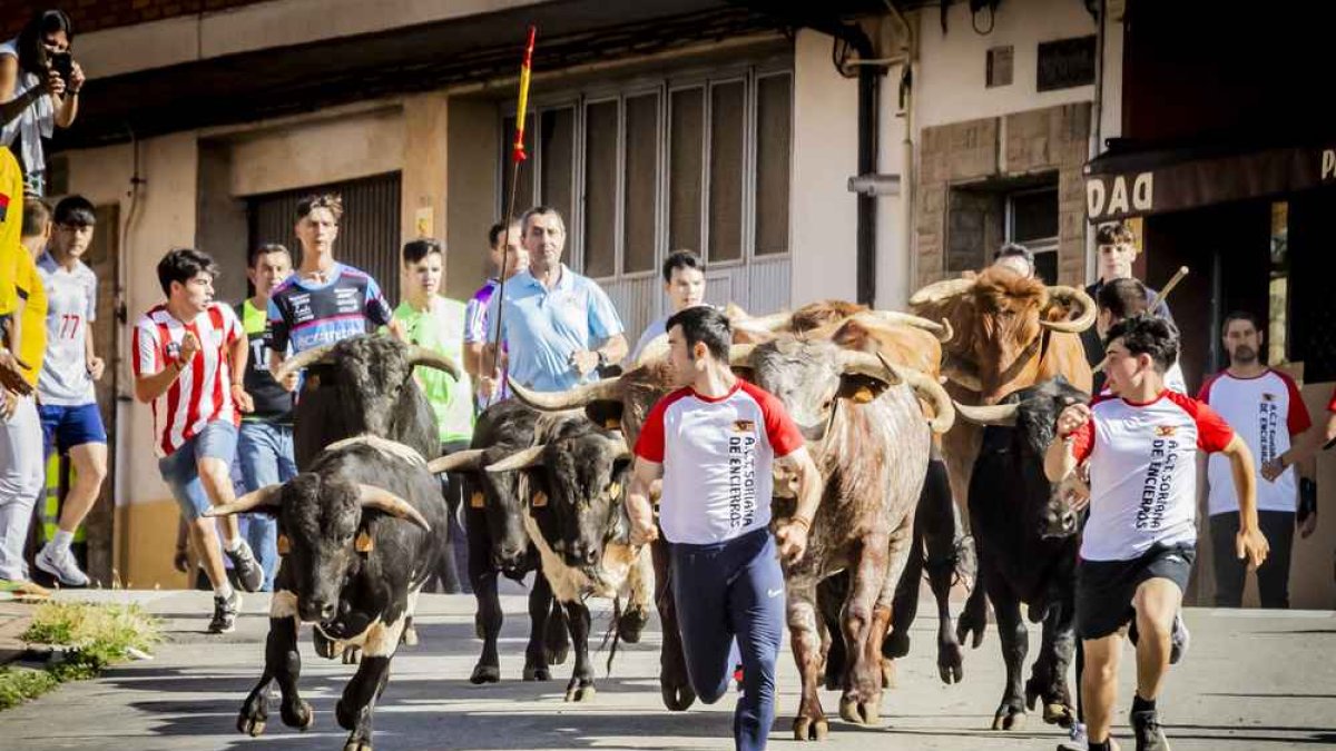 Una jornada muy taurina para anticipar las Fiestas de San Juan