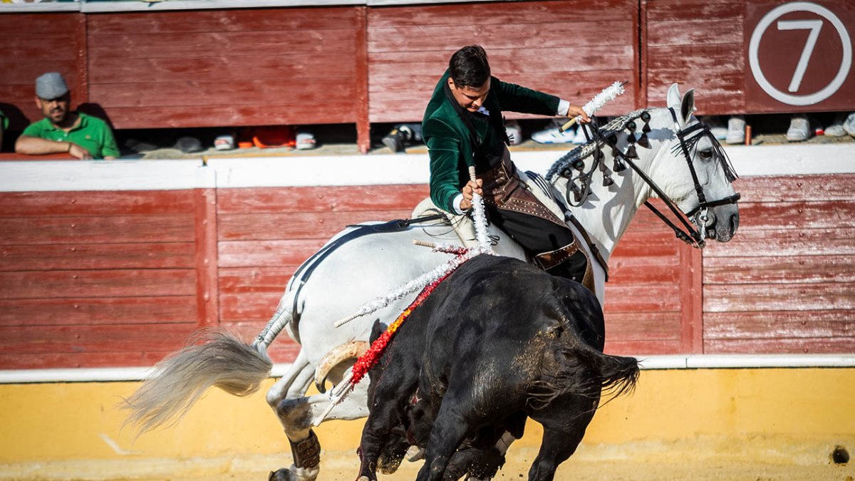 Sergio Pérez durante su faena a uno de sus toros.