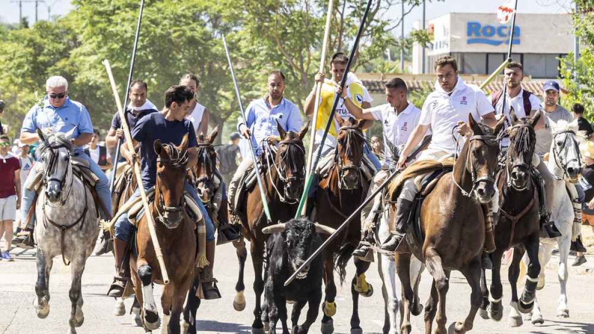 Caballistas en el Jueves La Saca de 2025.
