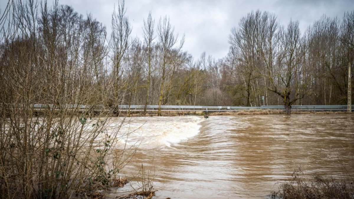 El Tera se desbordó este invierno al menos en dos ocasiones.