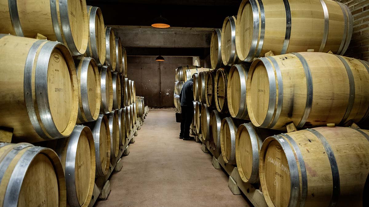 Las exportaciones de vino y alcoholes han descendido.