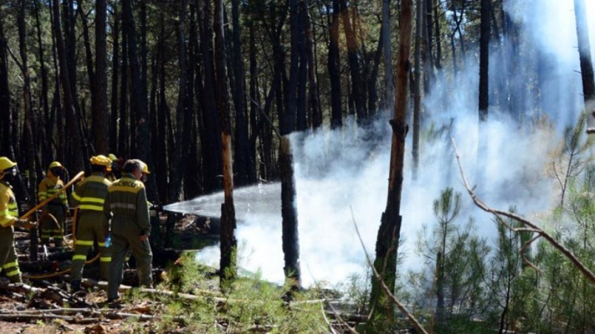 Extinción de un incendio forestal en la provincia.