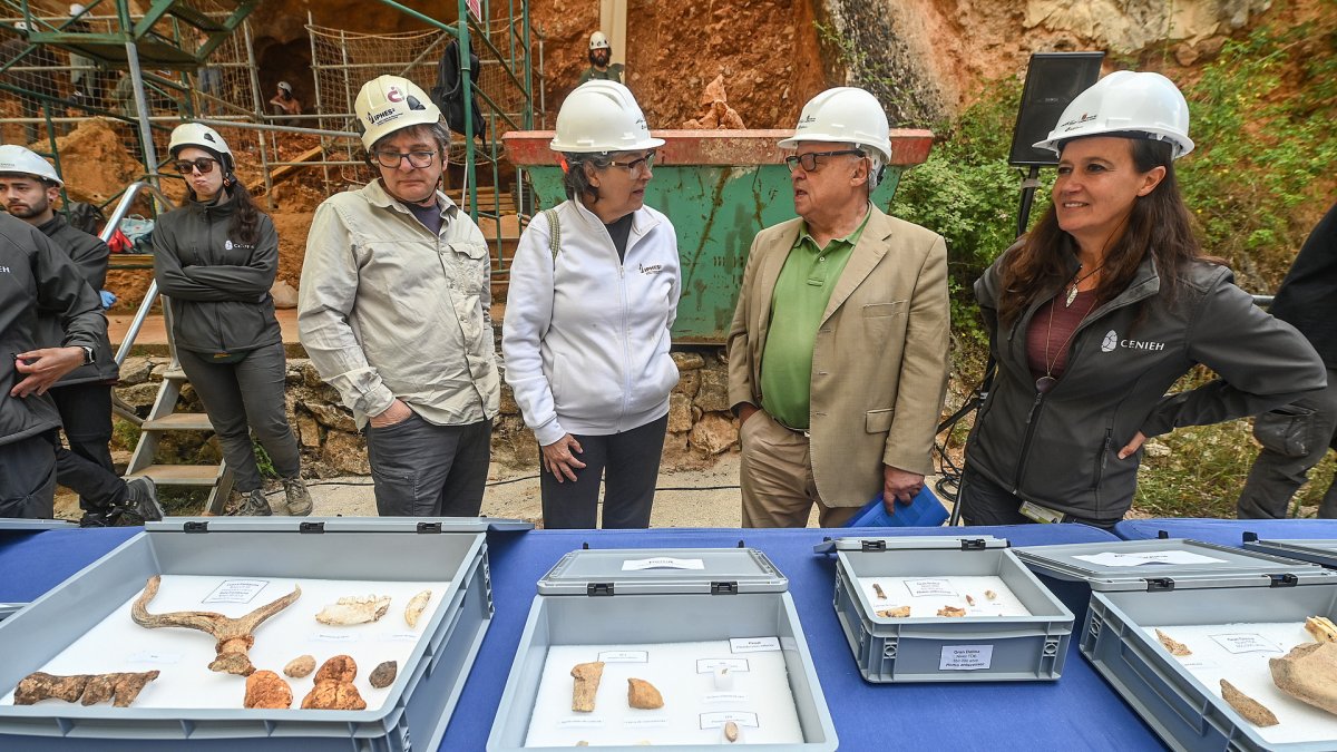 El consejero de Cultura, Turismo y Deporte, Gonzalo Santonja, y los codirectores del Proyecto Atapuerca, presentan los resultados de la campaña de excavaciones.
