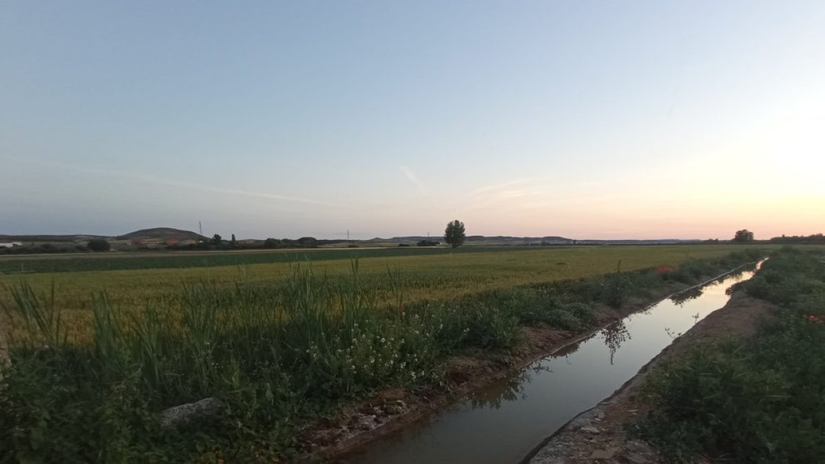 Imagen del canal de Ines.