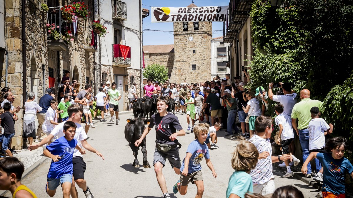 Almarza celebra su XXII Mercado Tradicional con éxito de participantes y de público.