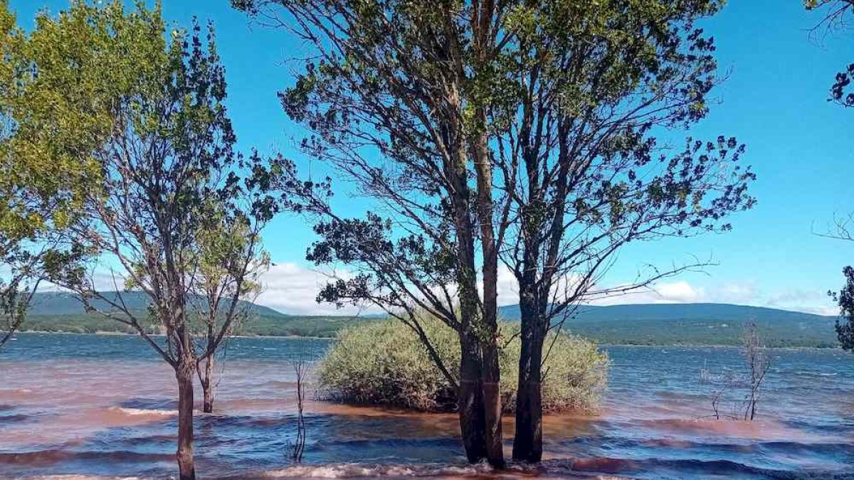 Embalse de la Cuerda del Pozo la pasada semana.