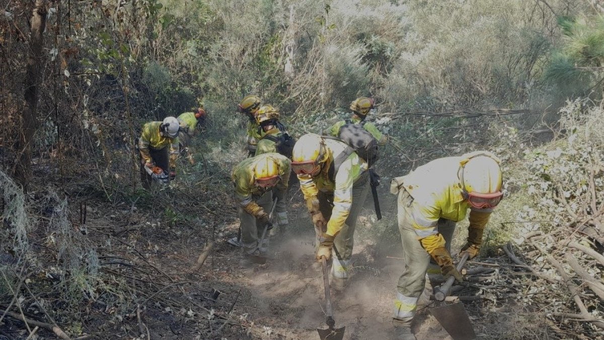 Un total de 88 medios trabajan para sofocar el incendio del Tiétar tras una “noche tranquila” y sin reproducciones.