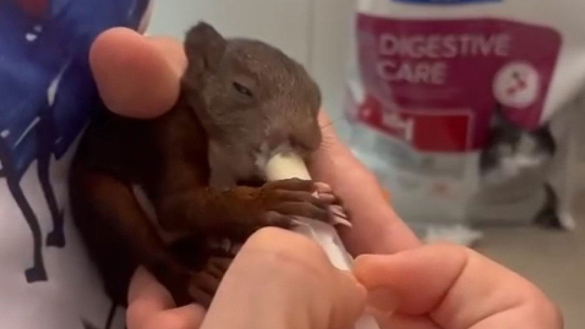 Katie sigmond onlyfans pics this was my first time with Eve