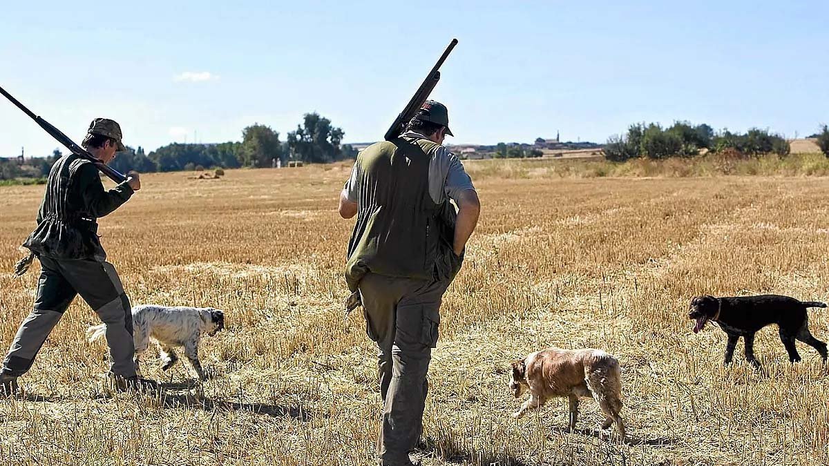 Las jornadas tendrá lugar el próximo mes de marzo.