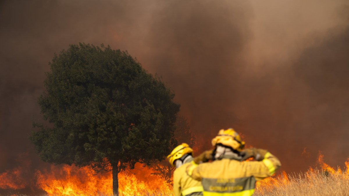 Bomberos trabajan para extinguir el incendio, a 10 de agosto de 2025, en Molezuelas de la Carballeda, Zamora (España).