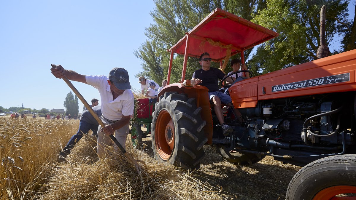 Los asistentes a la jornada de la siega antigua en Nepas disfrutaron ayer de una jornada llena de tradición.