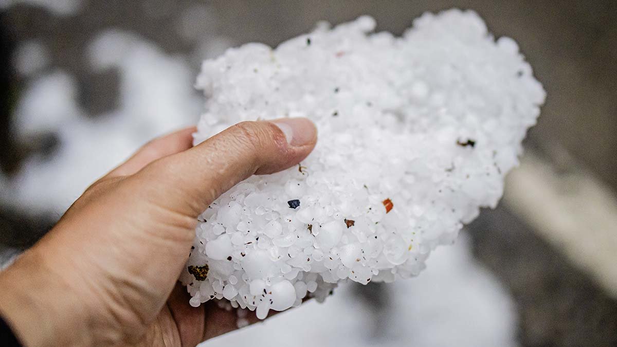 Restos de una tormenta con pedrisco en la provincia esta primavera.