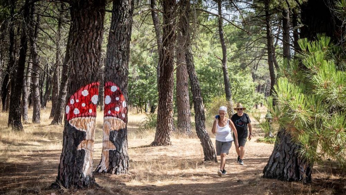 Una zona del Monte Valonsadero donde disfrutar a escasos minutos de la ciudad