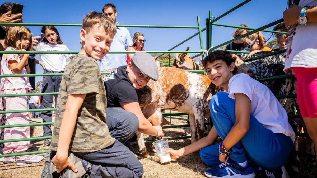 Una oportunidad para conocer el ganado de la zona