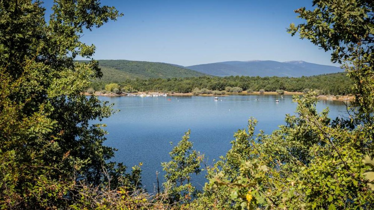Una oportunidad para conocer el ganado de la zona