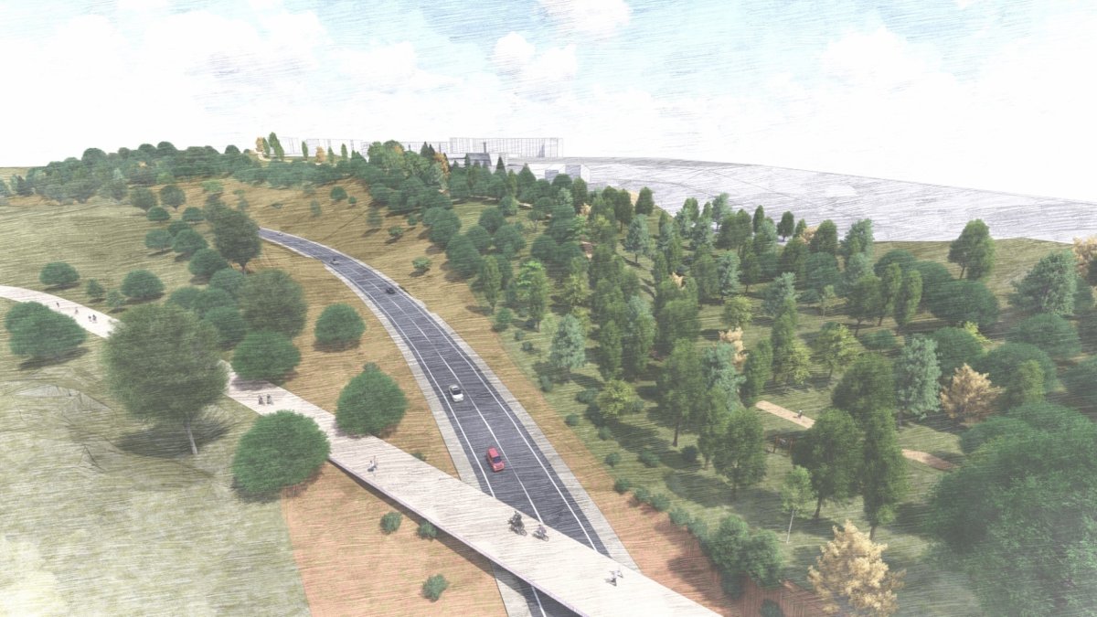 Recreación del bosque de la circunvalación Sur.