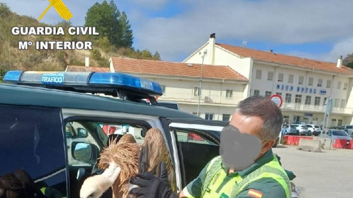 El agente con el buitre.