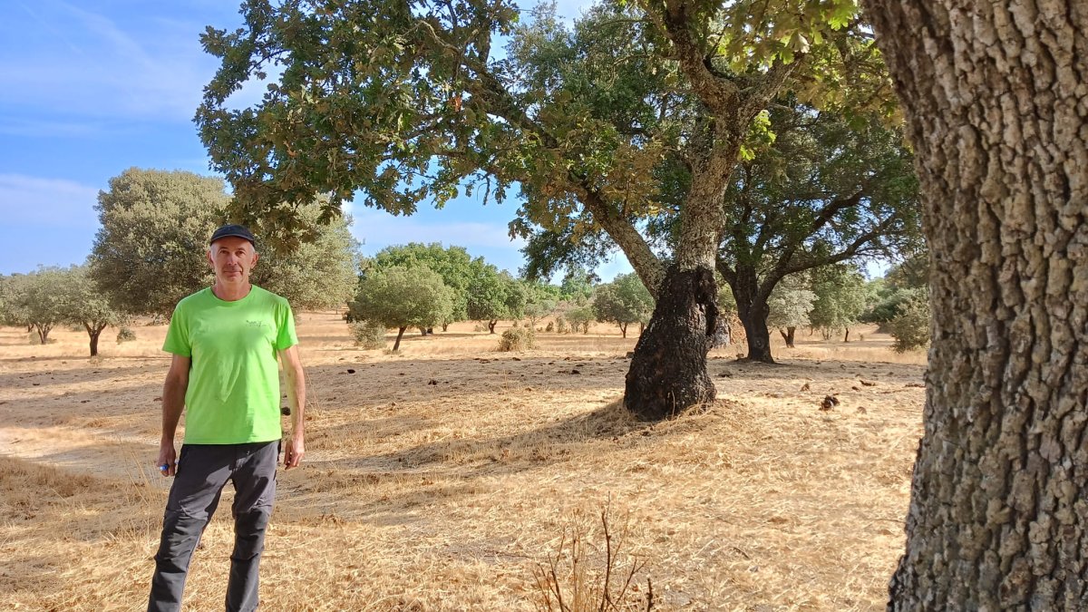 José Miguel Olano en una de las dehesas del Alentejo portugués, donde  realiza labores de muestreo.